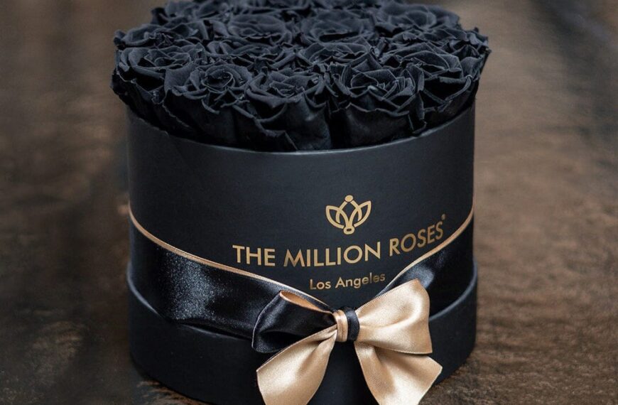 Roses That Last a Year: The Million Roses and the Forever Flower Trend