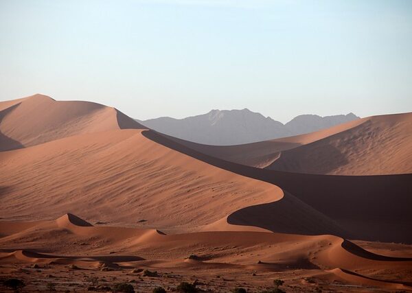 Experience Dubai’s Desert Magic with VIP Desert Tours