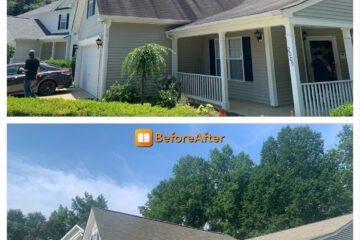 What Are the Black Streaks on Your Shingle Roof