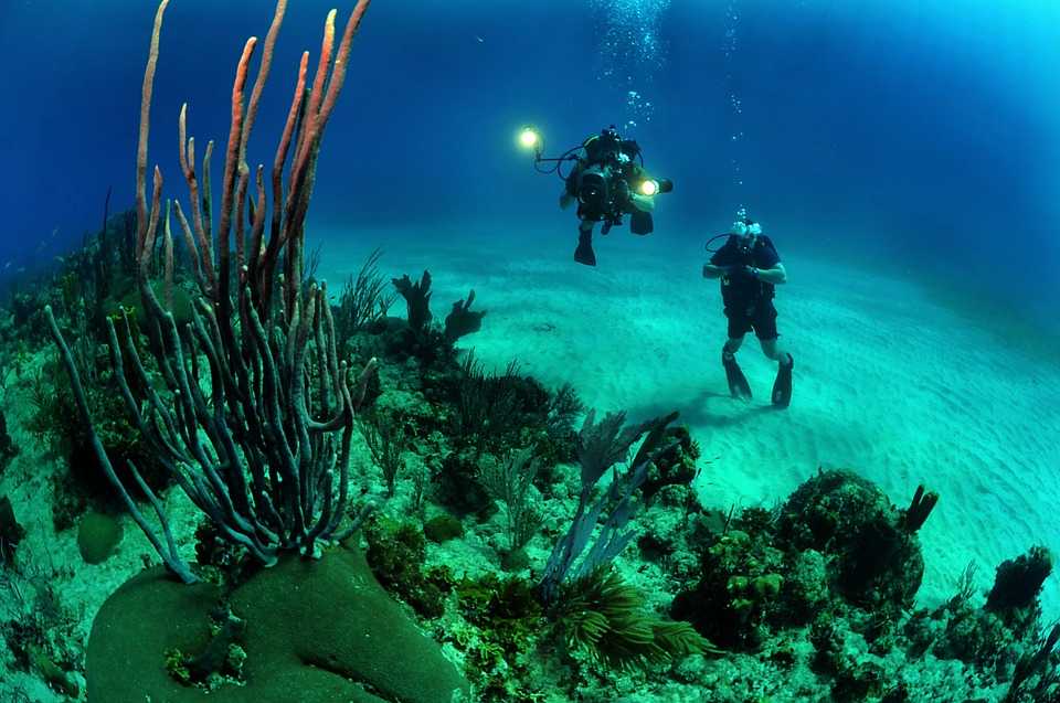 Scuba Diving in the Maldives