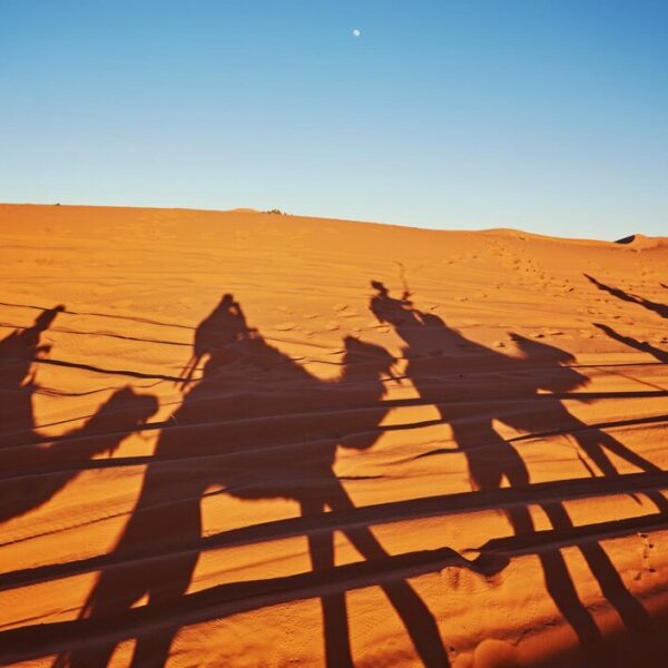 The Magic Of Sunrise Desert Safari: An Unforgettable Adventure