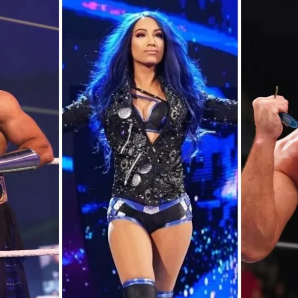 The Popularity and Global Reach of WWE and ROH